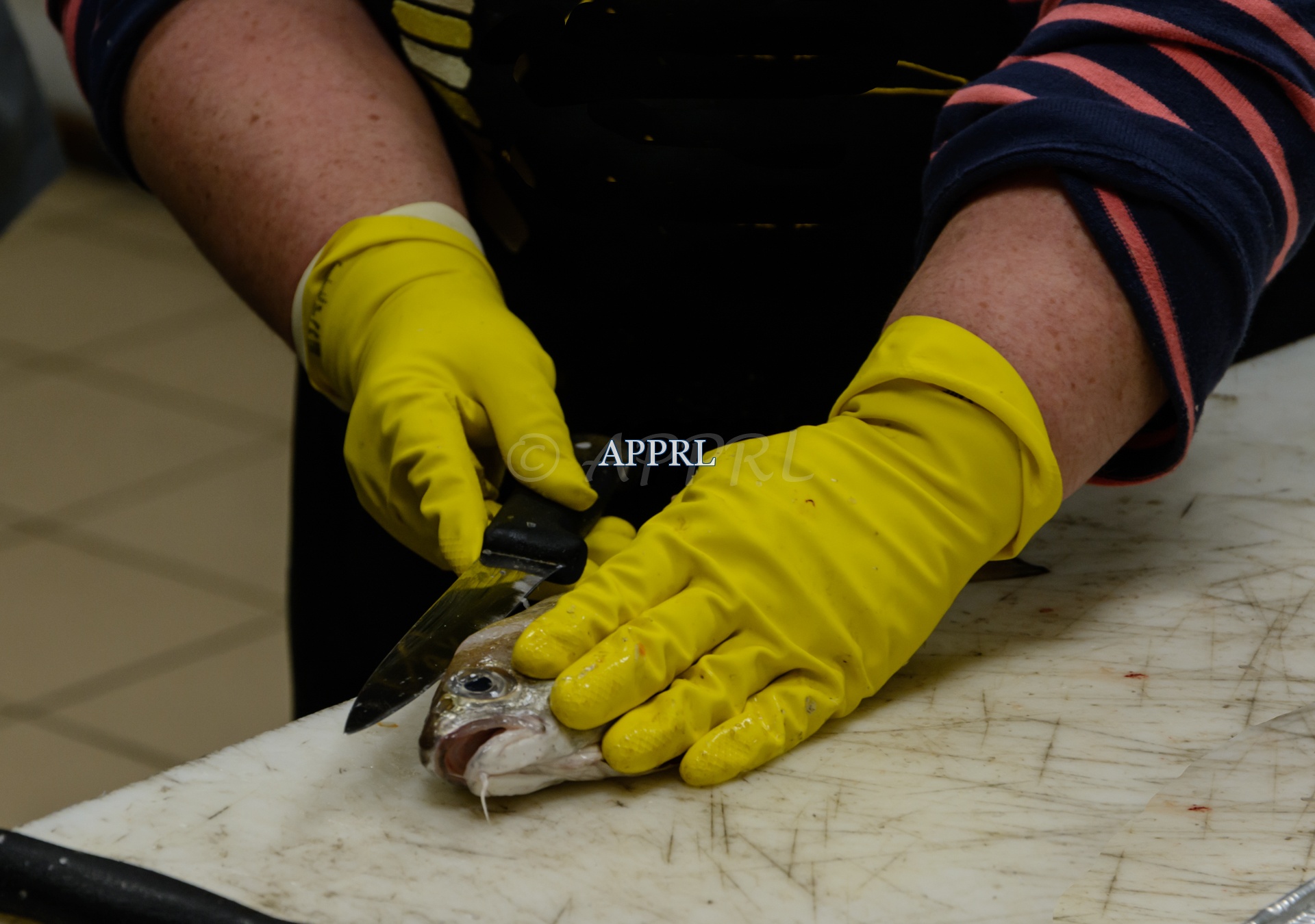 APPRL_Filetage_bm-7270.jpg