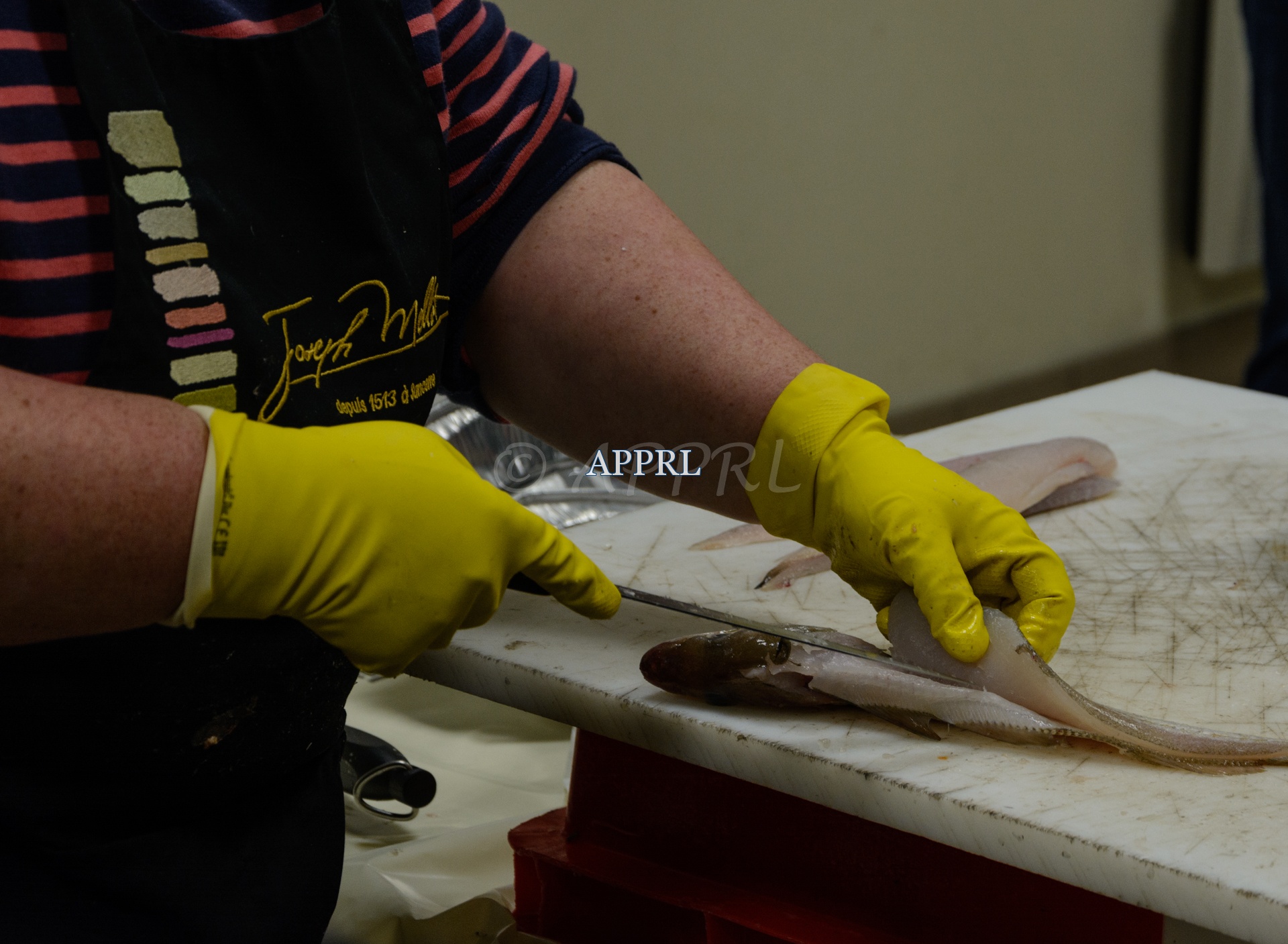 APPRL_Filetage_bm-7274.jpg