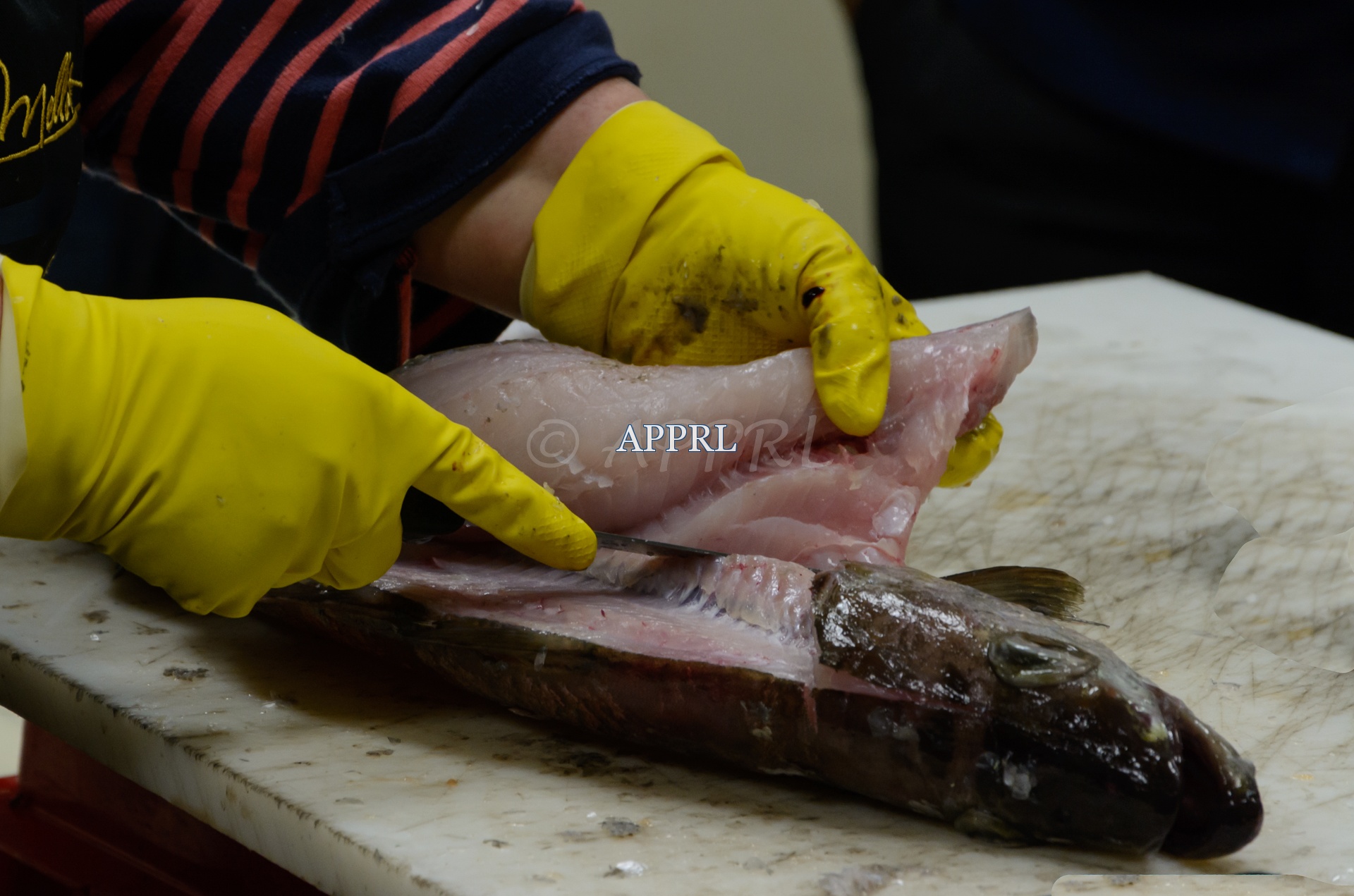 APPRL_Filetage_bm-7285.jpg