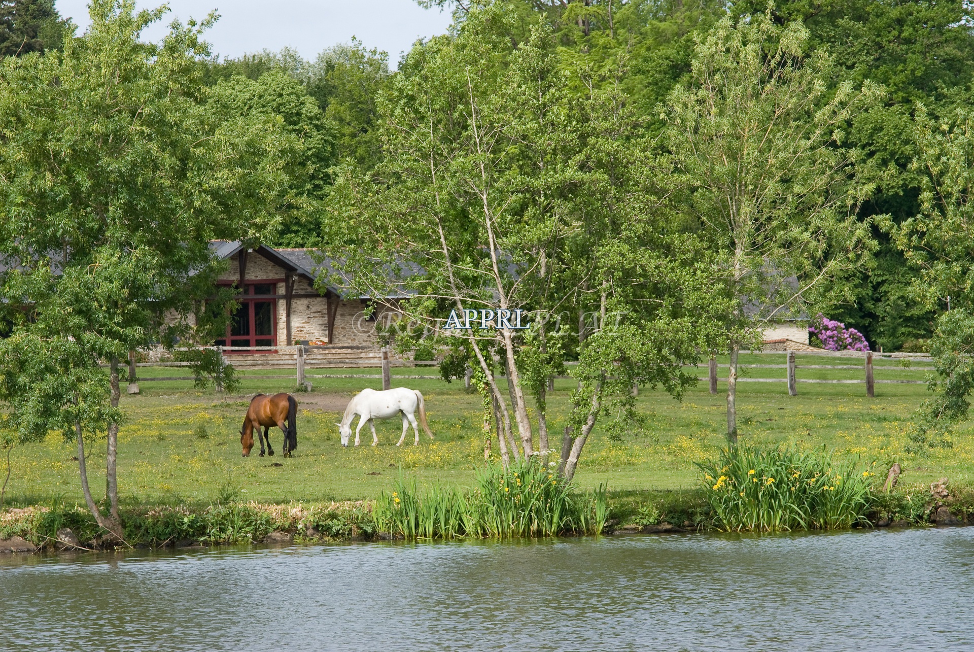3_APPRL_Nantes-rl-0124.jpg