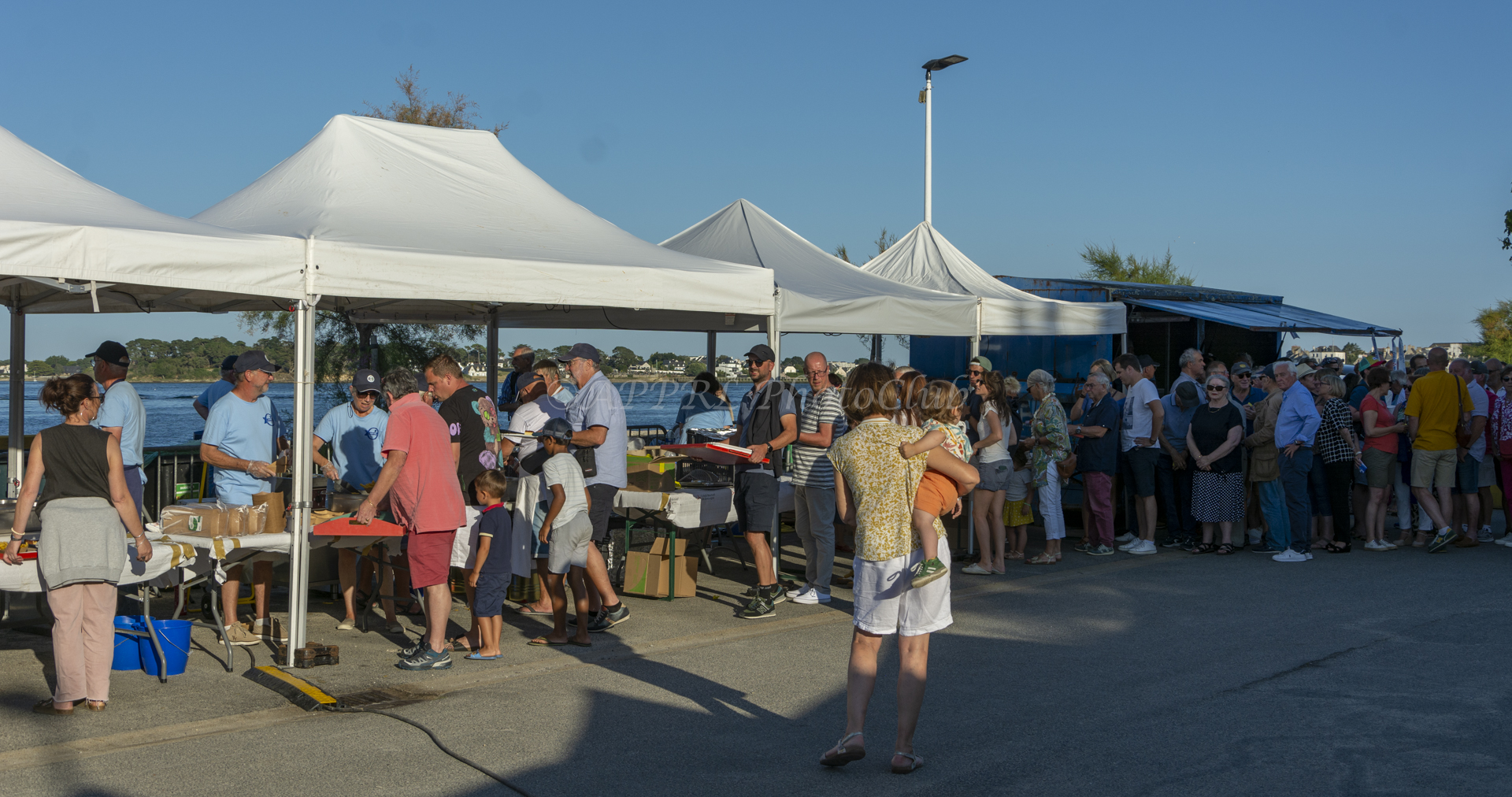 87_APPRL Fish&Chips 2024DSC_2128.jpg