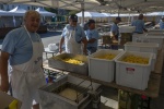 85_FISh-Chips_2025_DSC_3519.jpg